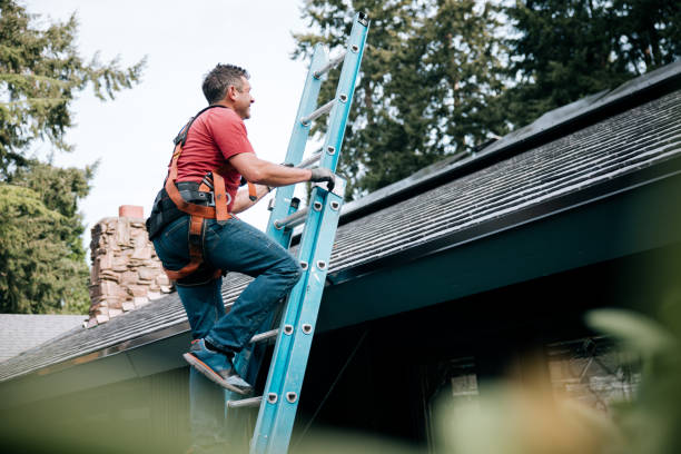 Best Sheet Metal Roofing  in Chocowinity, NC