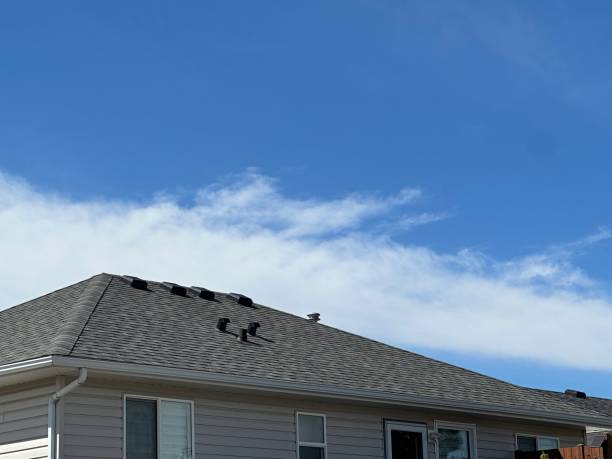 Best Asphalt Shingle Roofing  in Chocowinity, NC